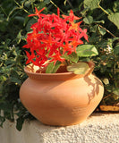 Natural Terracotta Plain Vase